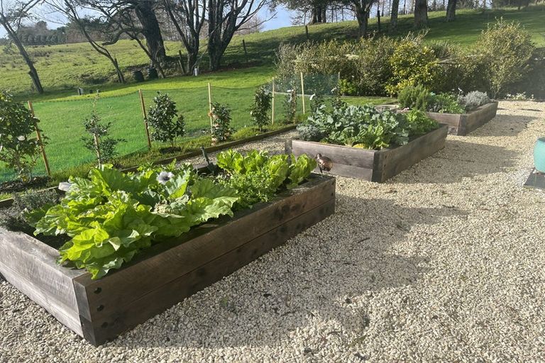 Photo of property in 262 Bawden Road, Dairy Flat, Albany, 0792