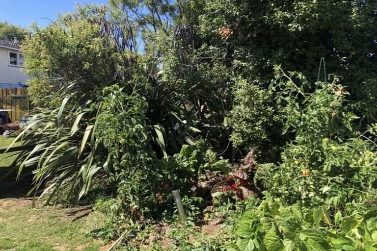 Photo of property in 14 Tureiti Place, Turangi, 3334