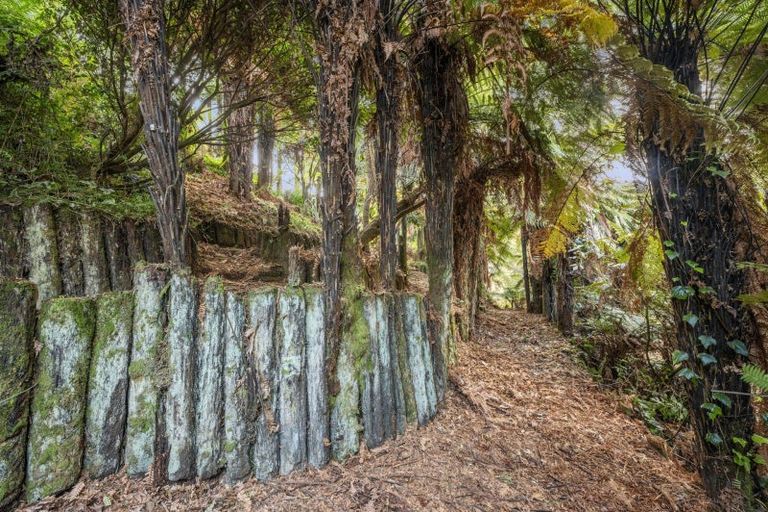 Photo of property in 21 Gillam Crescent, Springfield, Rotorua, 3015