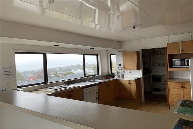 Photo of property in 17 Argyle Street, Mornington, Dunedin, 9011