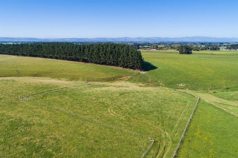 Photo of property in 172 Stewart Road, Feilding, 4479