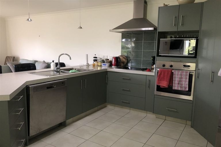 Photo of property in 43 Wills Road, Katikati, 3129