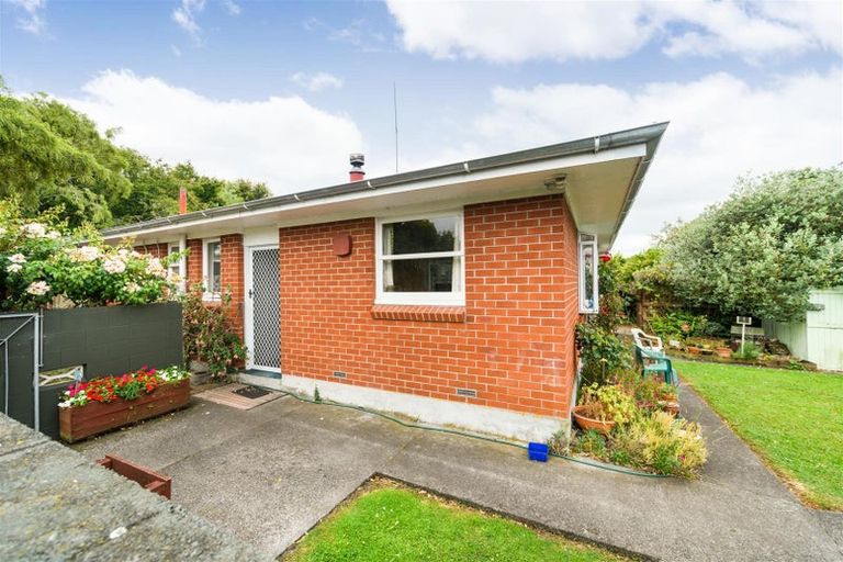 Photo of property in 46a Skerman Street, Marton, 4710