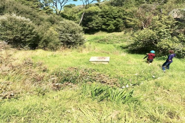 Photo of property in 515 Wyuna Bay Road, Wyuna Bay, Coromandel, 3581