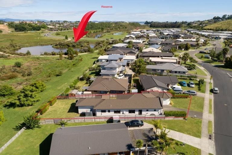 Photo of property in 83 Solomon Street, Brookfield, Tauranga, 3110
