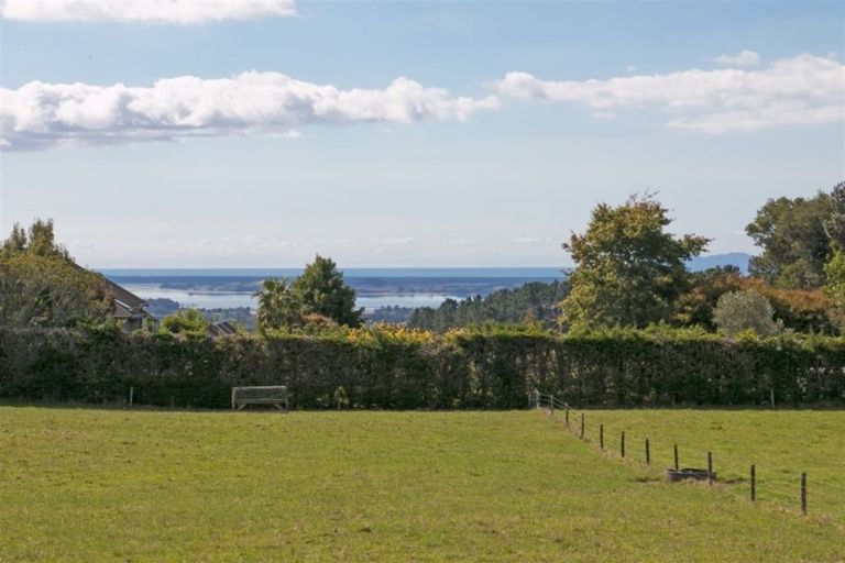 Photo of property in 472 Whakamarama Road, Whakamarama, Tauranga, 3179