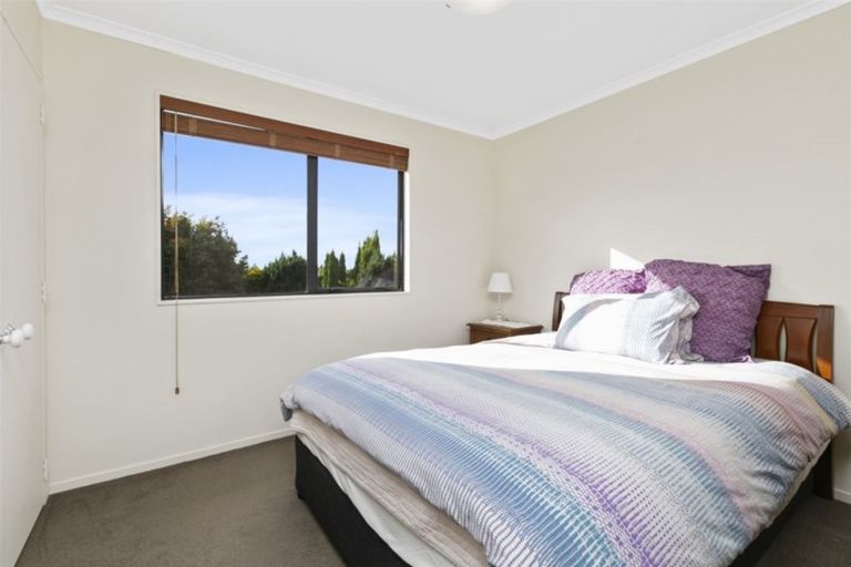 Photo of property in 41 Bethlehem Heights, Bethlehem, Tauranga, 3110