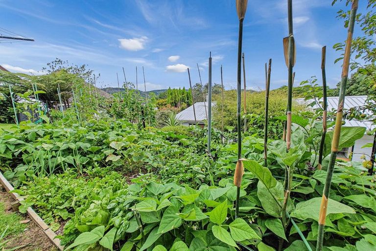 Photo of property in 231 Tukere Drive, Whangamata, 3620