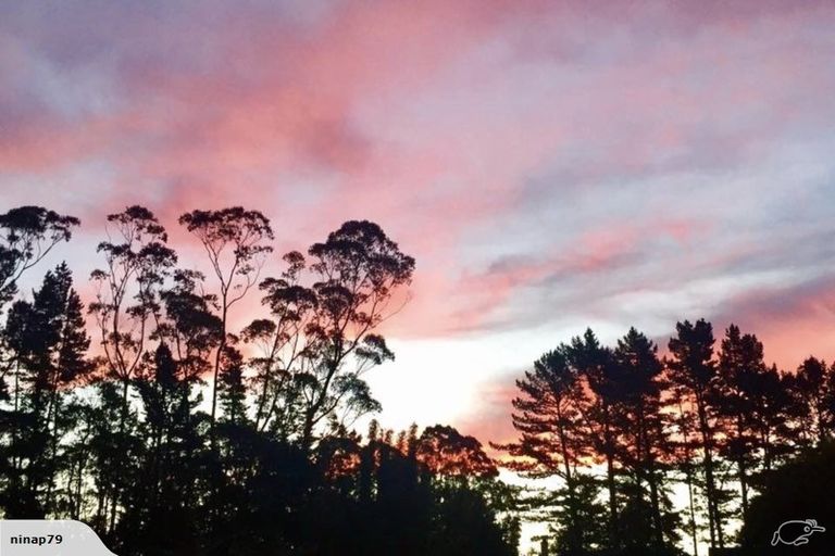 Photo of property in 93b Pungaere Road, Waipapa, Kerikeri, 0295