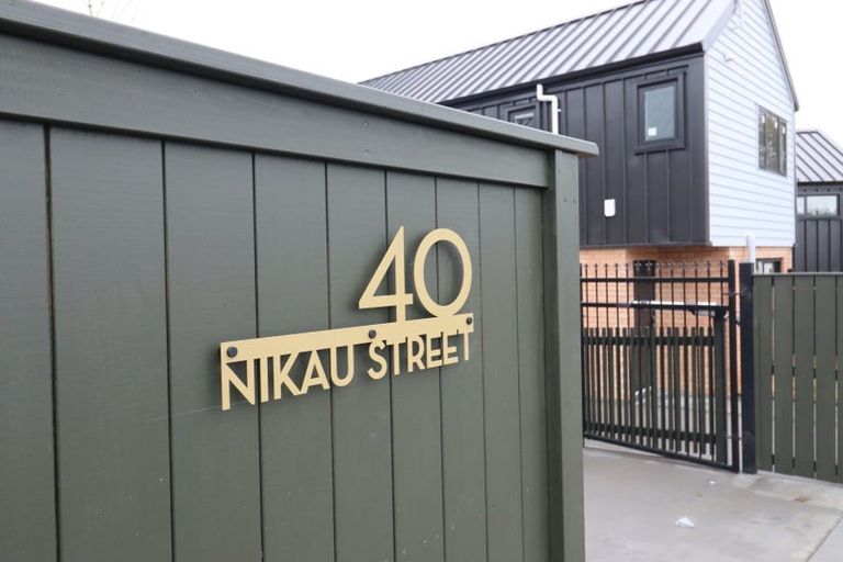 Photo of property in 40a Nikau Street, Springfield, Rotorua, 3015