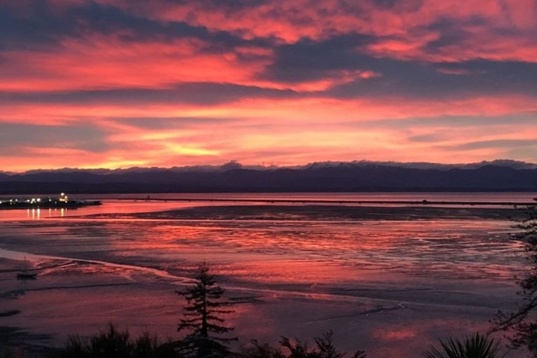 Photo of property in 1 Ruffell Place, Atawhai, Nelson, 7010