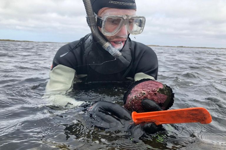 Photo of property in 1 Nunu Drive, Flat Point, Masterton, 5883