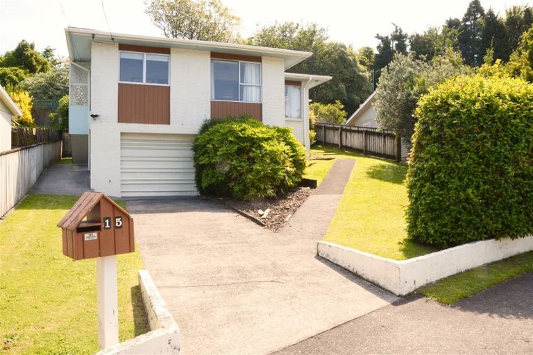 Photo of property in 15 Elizabeth Place, Ferndale, New Plymouth, 4310