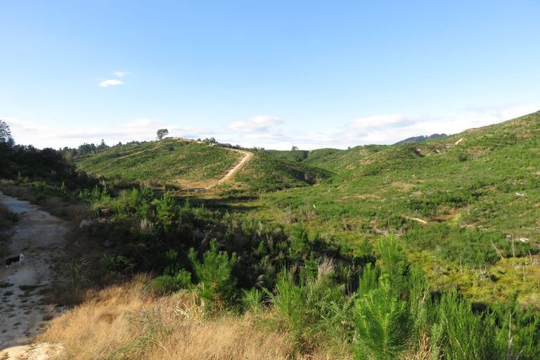 Photo of property in 744 Waiwhero Road, Ngatimoti, Motueka, 7196