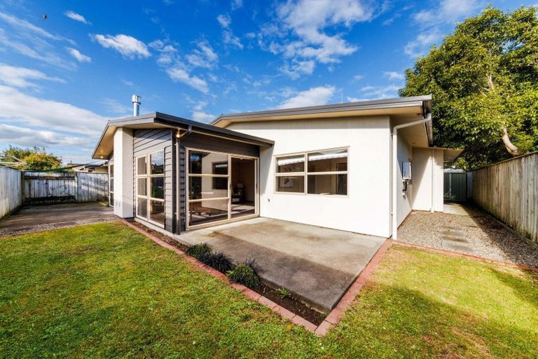 Photo of property in 36c Fitzroy Street, Terrace End, Palmerston North, 4410