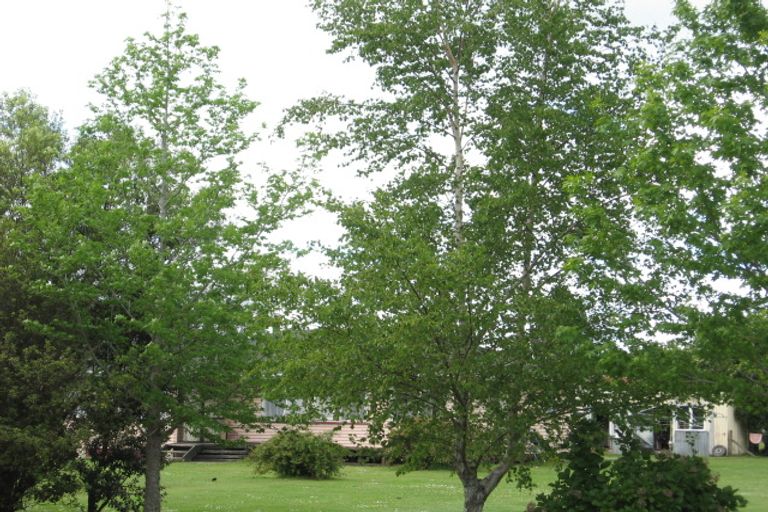 Photo of property in 54 Solander Street, Tolaga Bay, 4077