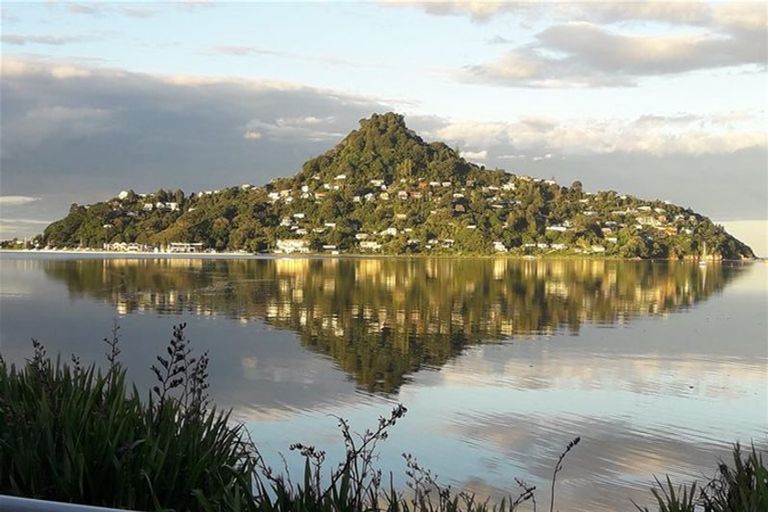 Photo of property in 6 Bay View Terrace, Tairua, 3508