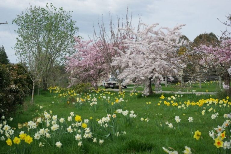 Photo of property in 37 Kerrytown Road, Levels, Timaru, 7975