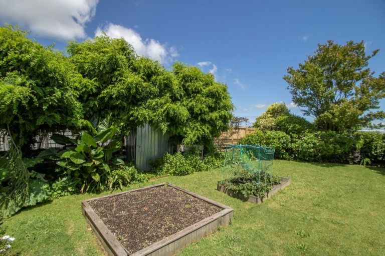 Photo of property in 41a Smith Street, Matamata, 3400