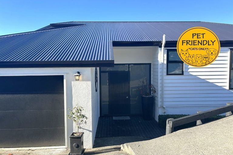 Photo of property in 92 Queen Street, Richmond, 7020