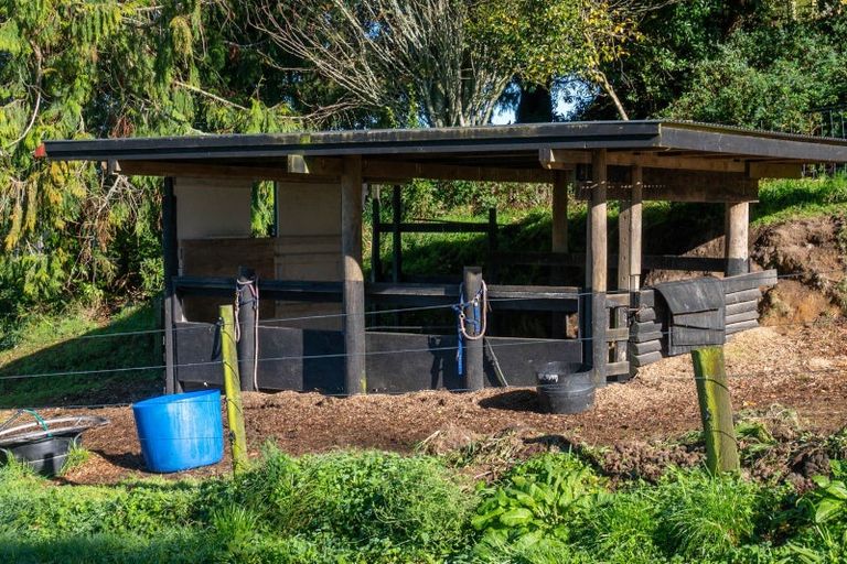 Photo of property in 262 Tuhingamata Road, Oruanui, Taupo, 3384