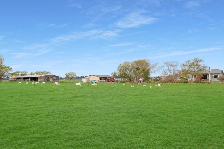 Photo of property in 236 Biggs Road, Richmond, Oamaru, 9493