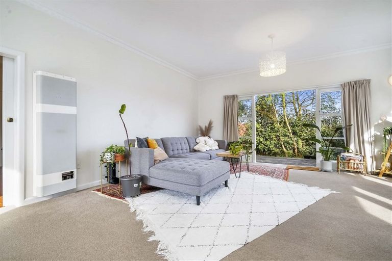 Photo of property in 31 Brookfield Street, Hamilton East, Hamilton, 3216