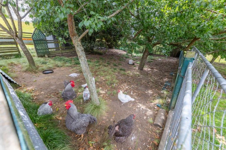 Photo of property in 26 Waotu Road South, Waotu, Putaruru, 3481