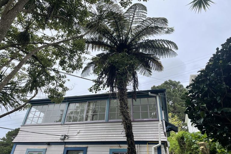 Photo of property in 9 Mortimer Terrace, Aro Valley, Wellington, 6021