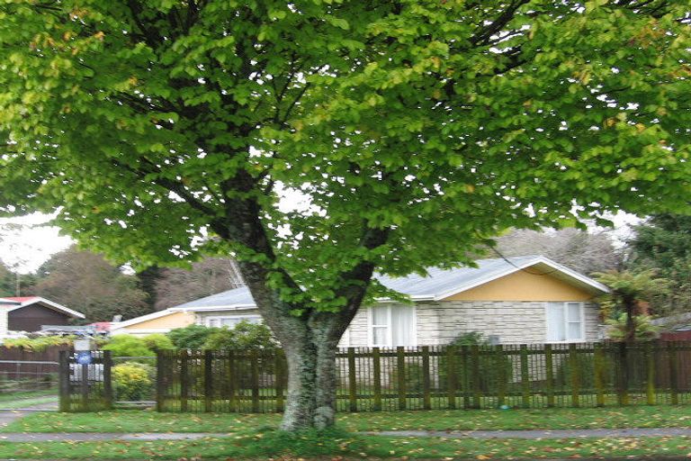 Photo of property in 111 Richmond Avenue, Tokoroa, 3420