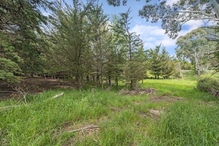 Photo of property in 193 Brodies Road, Broomfield, Amberley, 7482