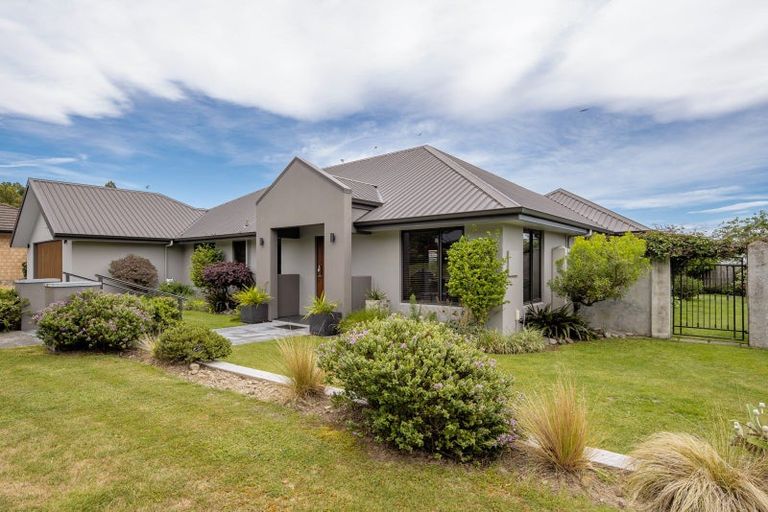 Photo of property in 38 Elmwood Avenue, Witherlea, Blenheim, 7201