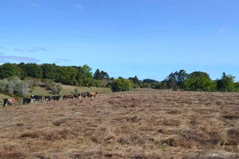 Photo of property in 843 Runciman Road, Runciman, Drury, 2578