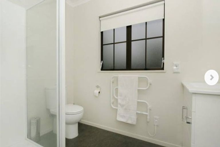 Photo of property in 21 Woodfield Avenue, Roslyn, Palmerston North, 4414