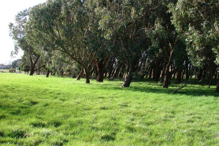 Photo of property in 50 Mckellar Road, Seaward Bush, Invercargill, 9871