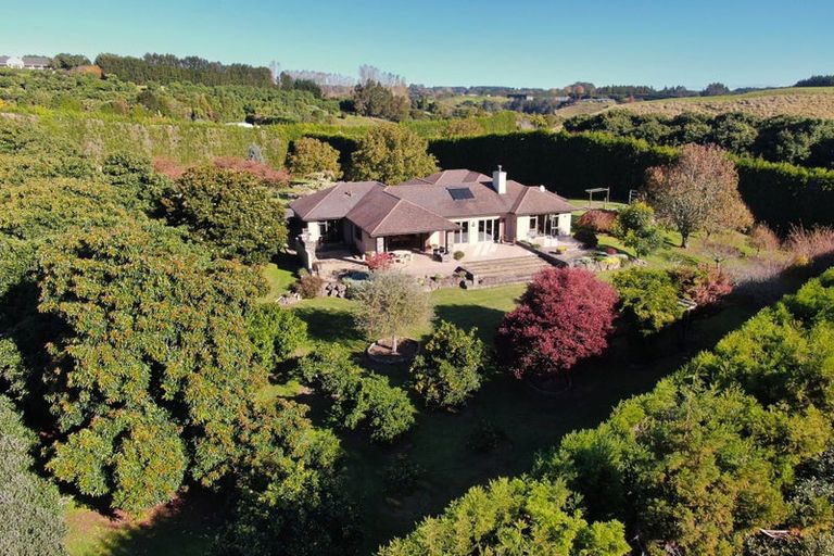 Photo of property in 152c Pukemapu Road, Oropi, Tauranga, 3173