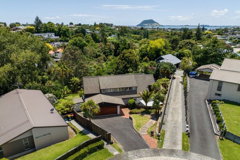 Photo of property in 65 Maungawhare Place, Otumoetai, Tauranga, 3110