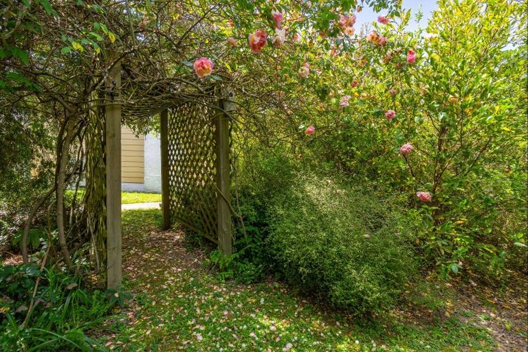 Photo of property in 30 Stout Street, Masterton, 5810