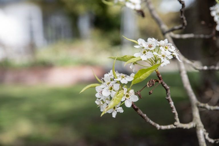 Photo of property in 118 Tarbert Street, Alexandra, 9320