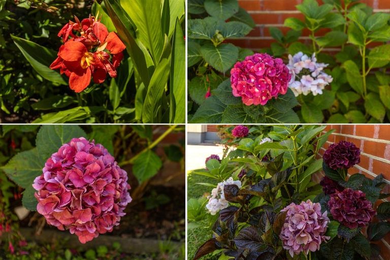 Photo of property in 21a Percy Street, Blenheim, 7201