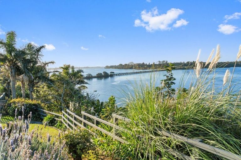 Photo of property in 91 Te Hono Street, Maungatapu, Tauranga, 3112