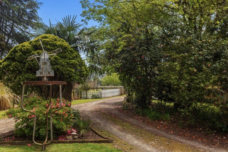 Photo of property in 326b White Pine Bush Road, Poroporo, Whakatane, 3192