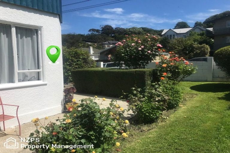 Photo of property in 67a Manor Place, Dunedin Central, Dunedin, 9016