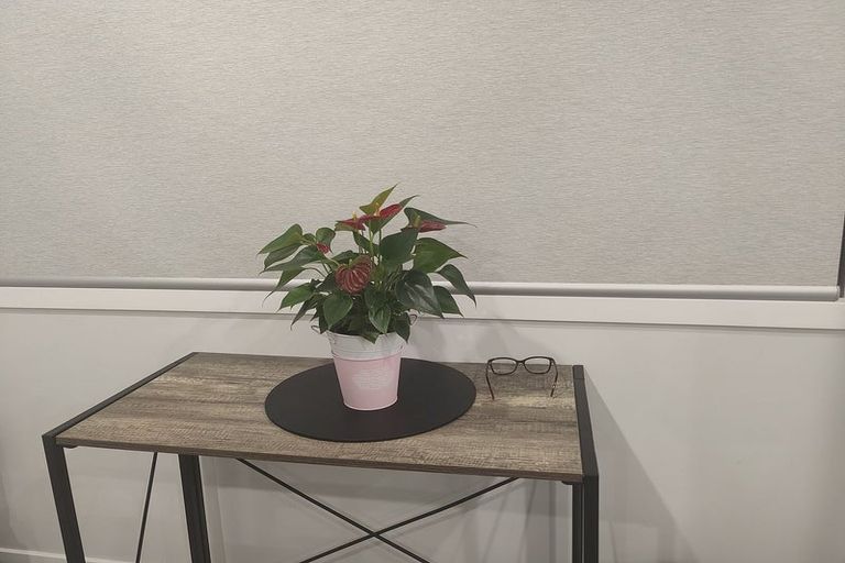 Photo of property in 4 Turkington Street, Tawa, Wellington, 5028