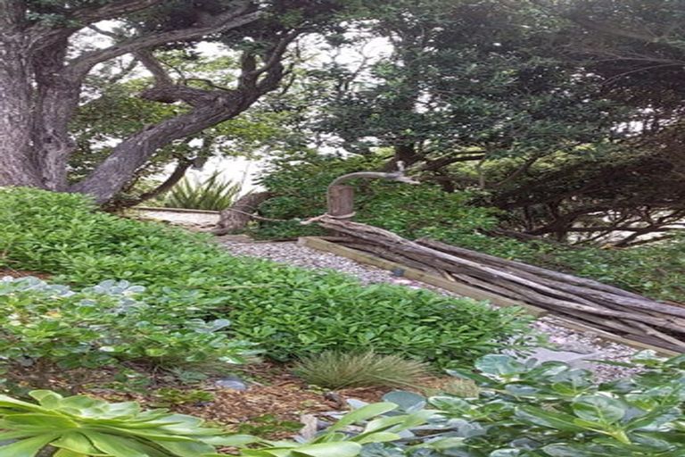 Photo of property in 88 Ames Street, Paekakariki, 5034