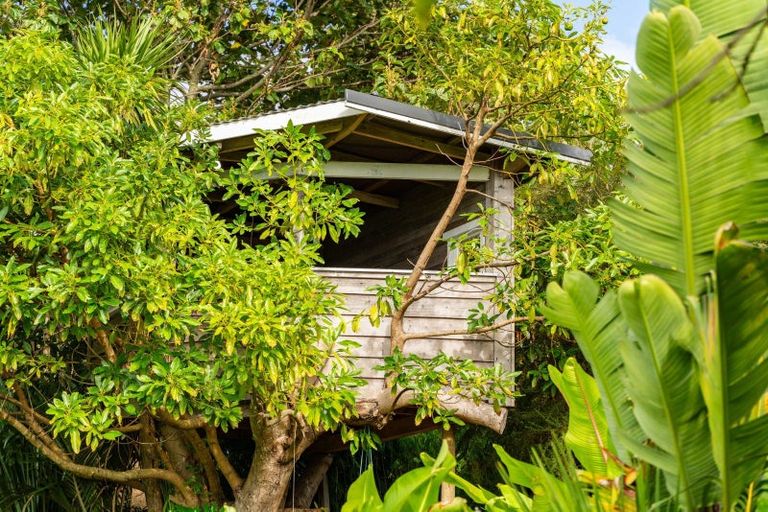 Photo of property in 391 Tara Road, Mangawhai, Kaiwaka, 0573