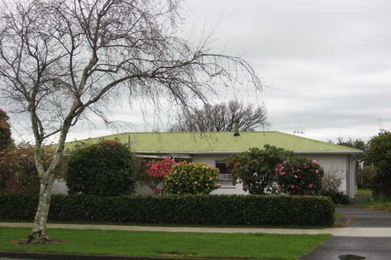 Photo of property in 94 Queen Street West, Levin, 5510