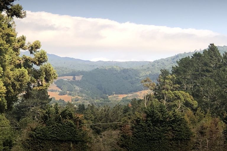 Photo of property in 56 Rawaka Drive, Katikati, 3129