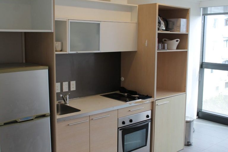 Photo of property in Luna Apartments, 4b/16 Burton Street, Grafton, Auckland, 1010
