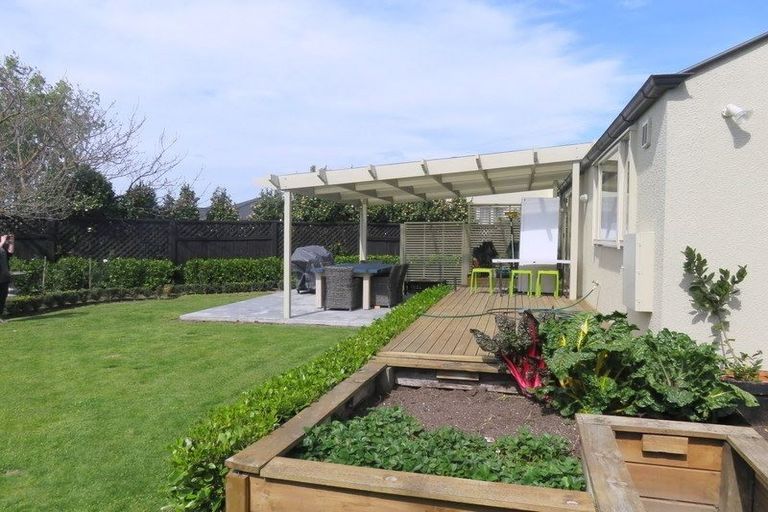 Photo of property in 913 Williams Street, Mahora, Hastings, 4120